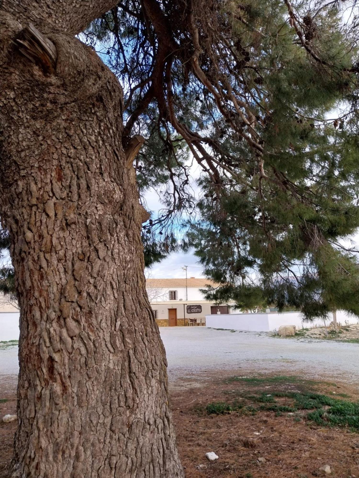 Villa Cortijos Rurales Castril, El Casto Esterno foto